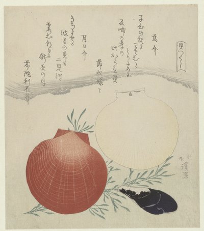 ムール貝と日月貝柱 からすがいつきひがい 一連のシェル (シリーズ タイトル) かいつくし 作： Totoya Hokkei