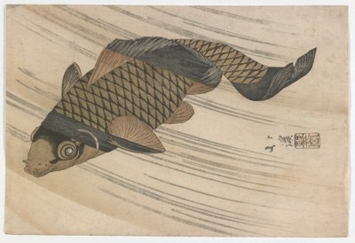 コイスイミングアップストリーム、江戸時代、1820年代半ば（色木版画） 作： Toyota Hokkei