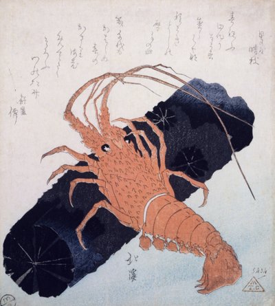 炭のブロックのあるラングスティーヌ、c.1830（カラー木版印刷） 作： Toyota Hokkei