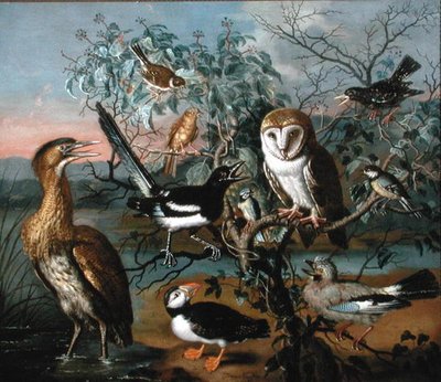 A Concert of Birds: a Puffin, Jay, Great Tit, Bittern, Starling, Magpie, Yellowhammer, Red Bunting, Barn Owl (油彩・キャンバス) 作： Trajan Hughes