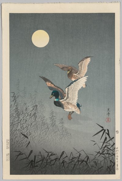東京の景色：アヒル 作： Tsuchiya Kōitsu