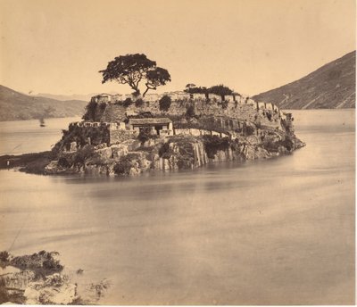 ミン ゲーム パス リバー ミン、カリフォルニア州。 1869年。 作： Tung Hing.