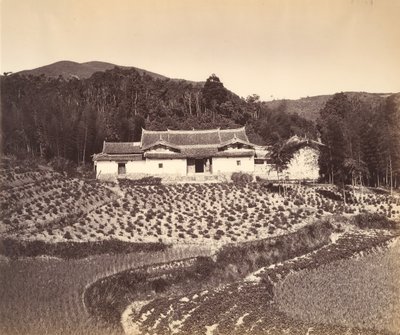 ペリングのティーフィールド＆ジョシュハウス、1869年頃。 作： Tung Hing.