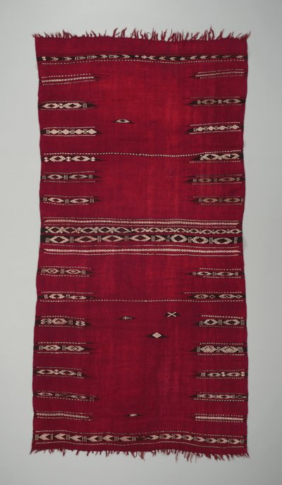 20世紀初頭の女性の儀式用マントル（baqnouq）（ウールと綿） 作： Tunisian School