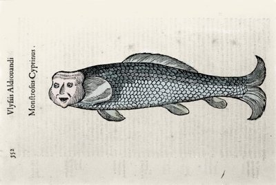 魚の絵 ウリッセ・アルドロヴァンディ（1522-1605）の『博物学』の写本を使って描かれたニコラの図版 ボローニャ大学図書館のウリッセ・アルドロヴァンディ資料室 1603年編 作： Ulisse Aldrovandi