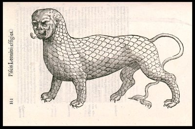 モンスター・クリーチャー：魚の鱗で覆われたライオン（またはライオン・フィッシュ）。ウリッセ・アルドロヴァンディ（1522-1605）によるエングレーヴィング、"Monstrorum Historiae"、ボローニャ1642年 作： Ulisse Aldrovandi