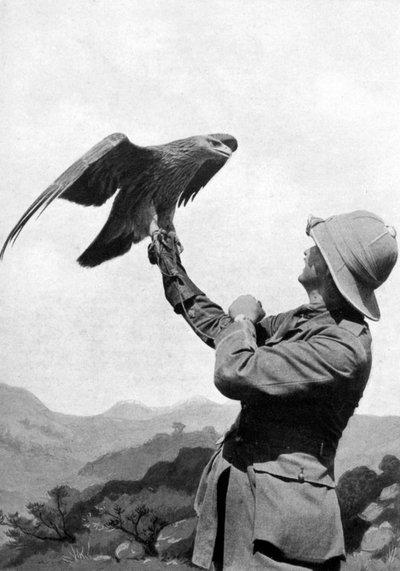 飼いならされたイヌワシを持つイギリスの将校、サロニカ、ギリシャ、第一次世界大戦、1914-1918、c1920 作： Unbekannt