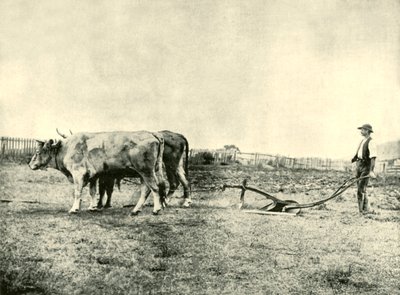 ブロックプラウチーム、1901年。 作： Unbekannt