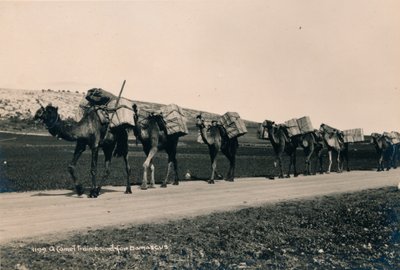 ダマスカス行きのラクダ列車、1936年 作： Unbekannt