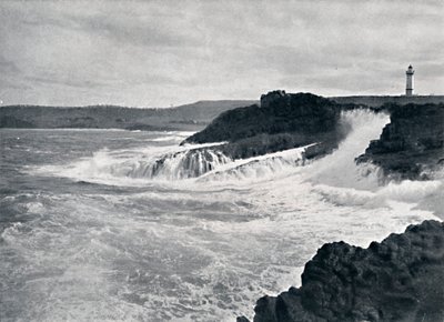 NSW、c1900の美しい海岸の風景の魅力的なビュー。 作： Unbekannt