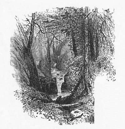 湖への餌箱、1883年 作： Unbekannt