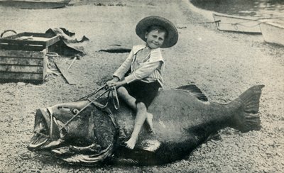 うさんくさい！ -黒海バス-重量363ポンド、1901年。 作： Unbekannt