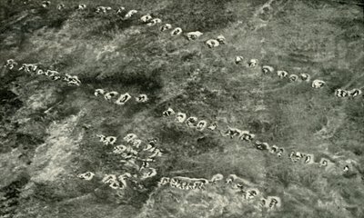 ノーマンランドを横切る歩兵攻撃、1919年。 作： Unbekannt