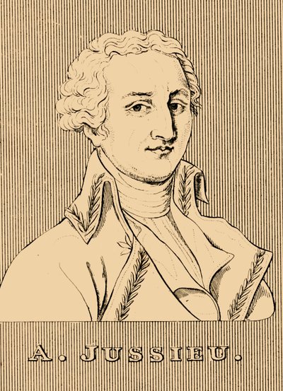 A.ジュシュー、1748〜1836年、1830年。 作： Unbekannt