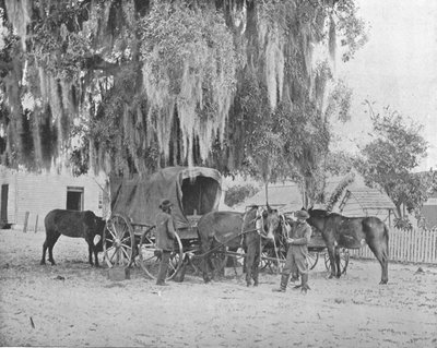 米国テキサス州サンアントニオ出身の商人、c1900。 作： Unbekannt