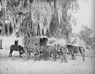 テキサス州サンアントニオ出身の商人、c1897。 作： Unbekannt
