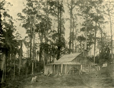 素朴な住居、1901年。 作： Unbekannt