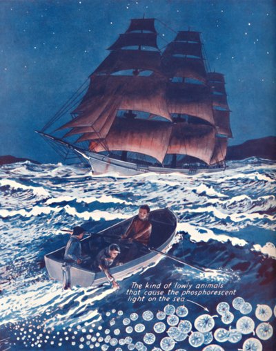 1935年の常夜灯に照らされた海 作： Unbekannt
