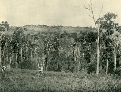 ビクトリア朝の山の農場、1901年。 作： Unbekannt