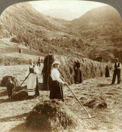 ノルウェー、ロルダル、山脈の間の日当たりの良い畑で干し草を作る農家の家族、c1905。 作： Unbekannt