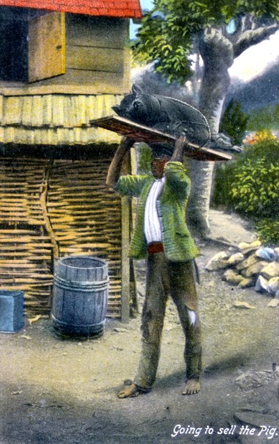 ブタ、ジャマイカ、c1900を販売するために市場に行く途中の男 作： Unbekannt