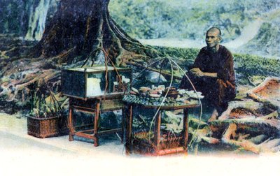 木の下で果物を売る男、香港、中国、c1900年代 作： Unbekannt