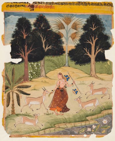 Ragamala Manuscriptのページ：Todi Ragini、c。 1625年。 作： Unbekannt
