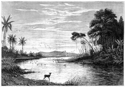 ベネズエラの川の情景、1877年 作： Unbekannt