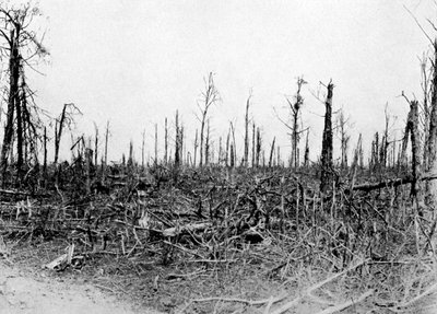 1916年、フランス、ソンム地域の木材、1920年 作： Unbekannt