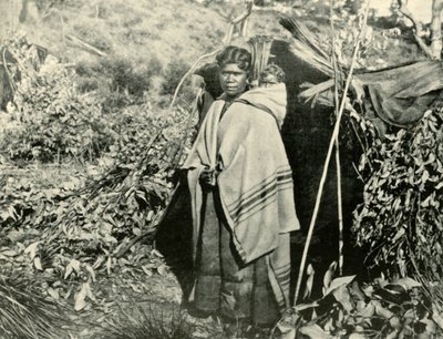 子供を持つ先住民の女性、1901年。 作： Unbekannt