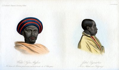 アビシニアンの肖像画、1848 作： Unbekannt