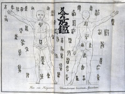 鍼灸：お灸のツボを示す人体図（日本）（お灸に関する図、1690年頃 作： Unbekannt