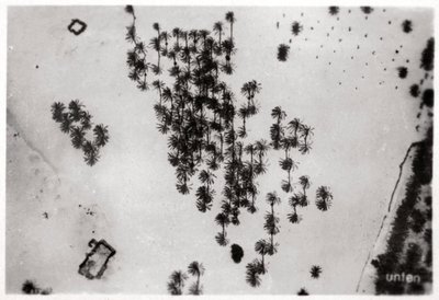 ツェッペリン、1931年1933年からのアラビアの砂漠のヤシの影の空撮 作： Unbekannt