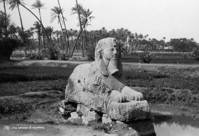 アラバスタースフィンクス、メンフィス、エジプト、c1920s-c1930s 作： Unbekannt