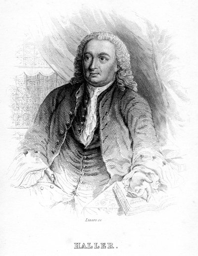 アルブレヒトフォンハラー、18世紀のスイスの医師兼科学者、c1840 作： Unbekannt