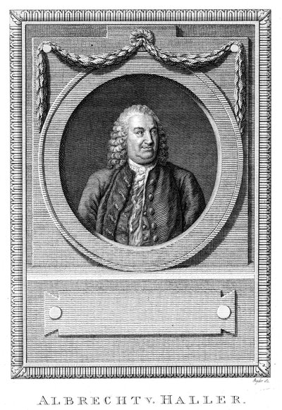 アルブレヒトフォンハラー、スイスの医師兼科学者、c1770 c1780 作： Unbekannt