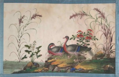 12 の鳥の絵を含むアルバム、19 世紀。 作： Unbekannt
