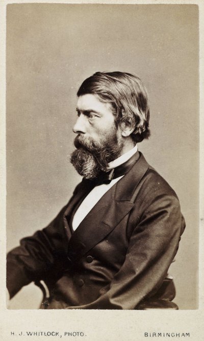 アレキサンダー・ウィリアム・ウィリアムソン、スコットランドの化学者、1865年頃 作： Unbekannt