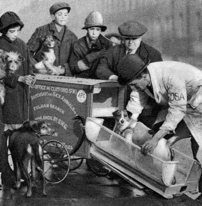 貧しい人々の病気の動物のための診療所の救急車、ロンドン、1926-1927 作： Unbekannt