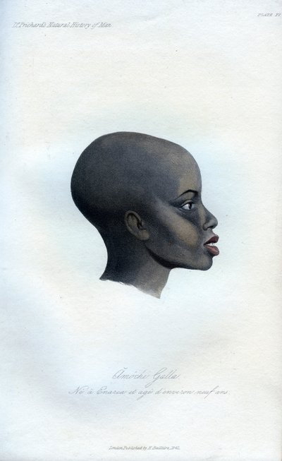 アモチガラ、ガラの肖像画、1848 作： Unbekannt