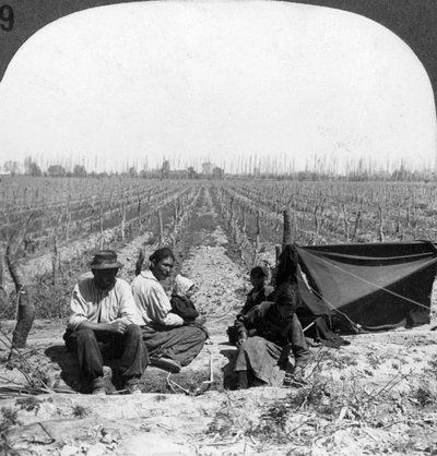イタリア人入植者とその家族、アルゼンチンのメンドーサ、1900年代 作： Unbekannt