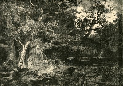 古いドイツの森、1890年。 作： Unbekannt