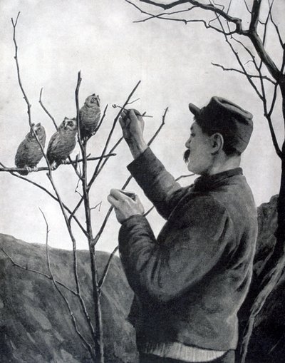 オリジナルの塹壕装飾、フランス、第一次世界大戦、1915 作： Unbekannt