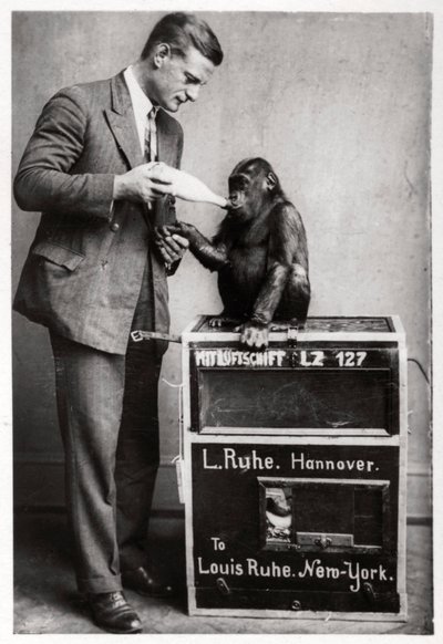 珍しい乗客、ツェッペリンLZ 127グラフツェッペリン、1933 作： Unbekannt
