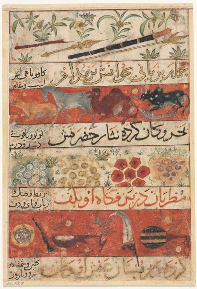 動物、宝石、硬貨、および楽器の直腸、動物、鳥、および植物 作： Unbekannt