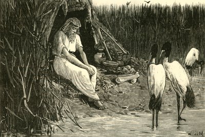 アニスは1890年にデルタの沼地に隠されました。 作： Unbekannt