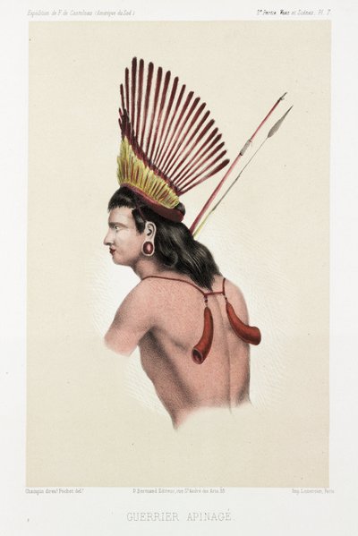 アピナージュの戦士、ブラジル、1843-1847年頃 作： Unbekannt