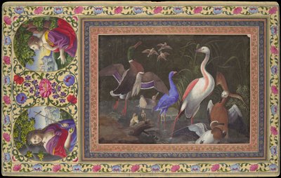 プールの水生鳥、デイビス アルバムのフォリオ、18 世紀。 作： Unbekannt