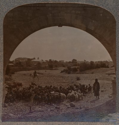 アーチ、c1900を通してジェリコを示す水道橋 作： Unbekannt