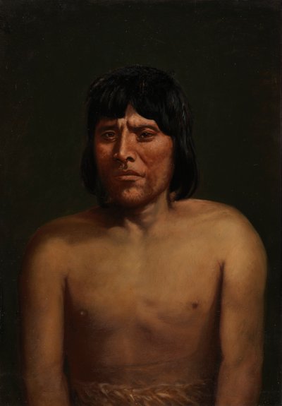 アラウカニアン マン、カリフォルニア州。 1890-1892。 作： Unbekannt